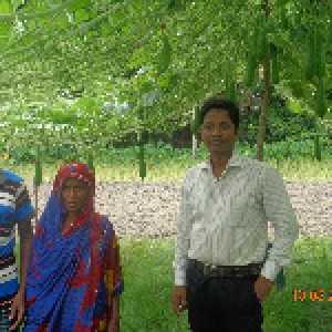 IFMC মাঠ স্কুল সবজি বাগান